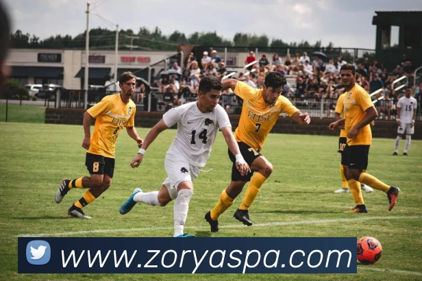 多媒体互动体验